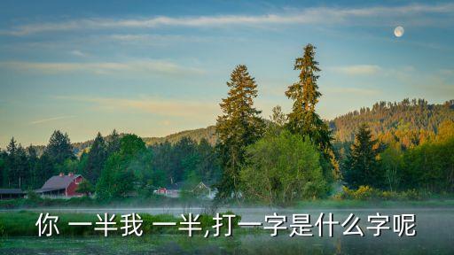 你一半我一半,投票日期（四）