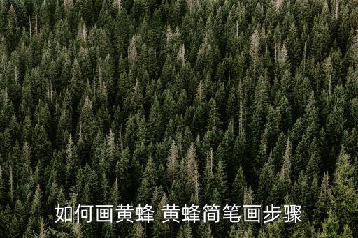 簡筆畫步驟，如何畫黃蜂 黃蜂簡筆畫步驟