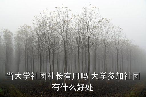 當大學社團社長有用嗎 大學參加社團有什么好處