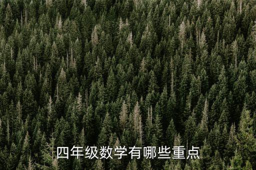 四年級數學有哪些重點