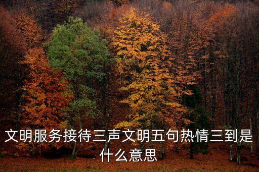 文明服務(wù)，文明服務(wù)接待三聲文明五句熱情三到是什么意思