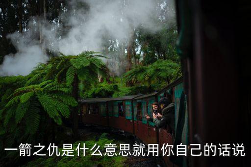 一箭之仇，一箭之仇是什么意思就用你自己的話說