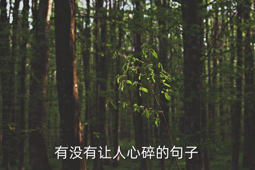 有沒有讓人心碎的句子