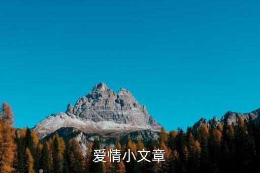 愛情小文章