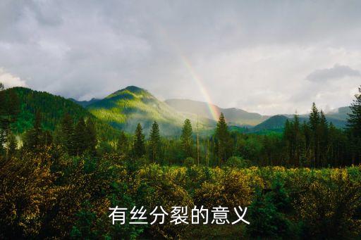 有絲分裂的意義