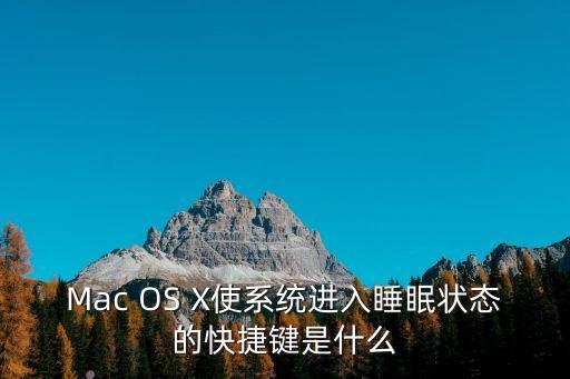mac睡眠快捷鍵，Mac OS X使系統進入睡眠狀態的快捷鍵是什么