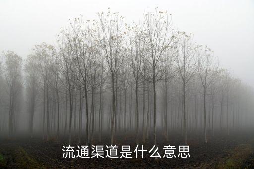 流通渠道是什么意思