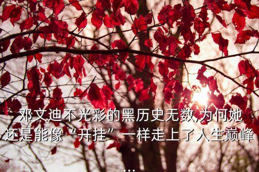  鄧文迪不光彩的黑歷史無數(shù),為何她還是能像“開掛”一樣走上了人生巔峰...
