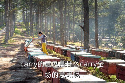 carry的意思是什么carry全場的意思呢