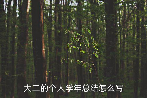 大二的個人學年總結怎么寫