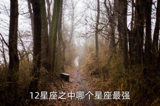 12星座之中哪個星座最強
