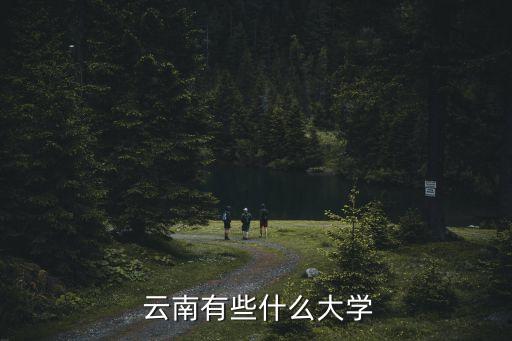 云南高校,云南十所重點大學:大云南大學