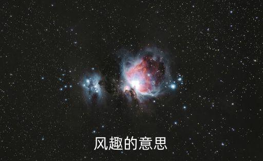 風趣的意思