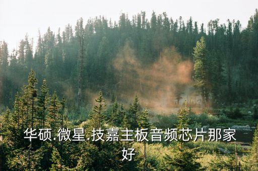  華碩.微星.技嘉主板音頻芯片那家好
