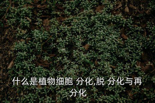 脫分化和再分化,植物細胞脫落分化過程如何進行?