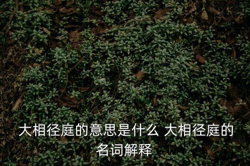 大相徑庭的意思是什么 大相徑庭的名詞解釋