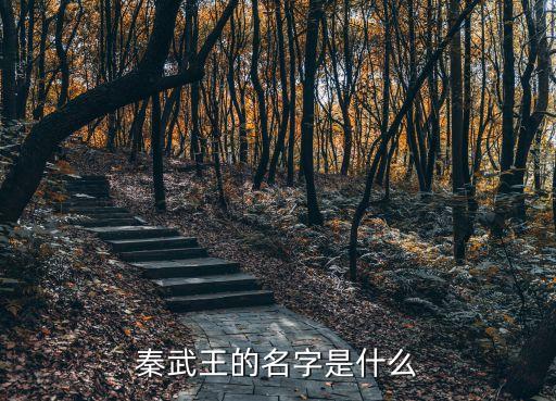 秦武王的名字是什么