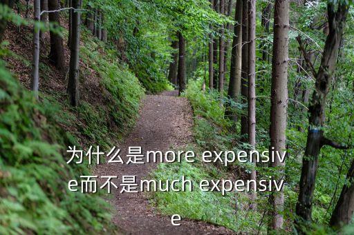 為什么是more expensive而不是much expensive