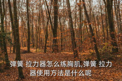 拉力器怎么用,瑜伽健身器材拉力器怎么使用?