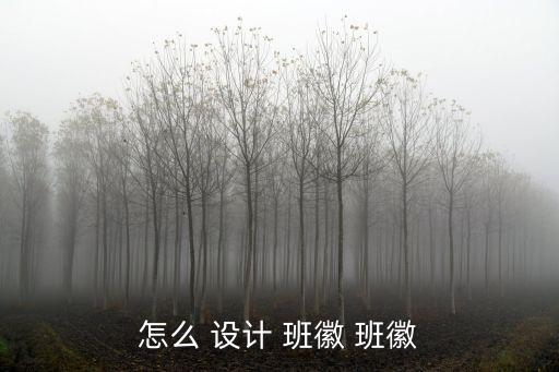 班徽設(shè)計(jì),班徽de設(shè)計(jì)需遵循哪些原則?