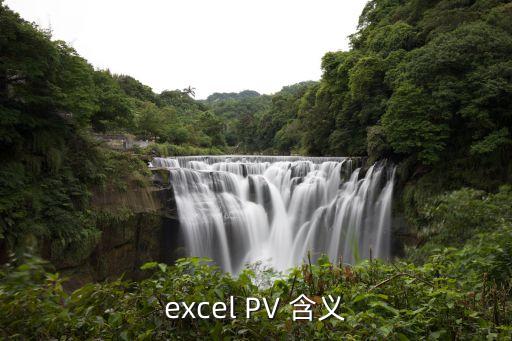 excel PV 含義