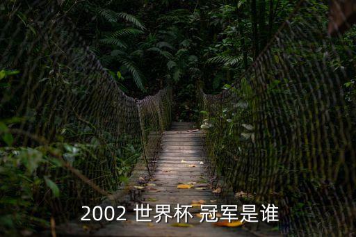 2002年世界杯冠軍,巴西4比0戰勝中國進入世界杯四強