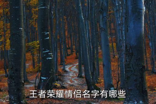 王者榮耀情侶昵稱，王者榮耀情侶名字有哪些
