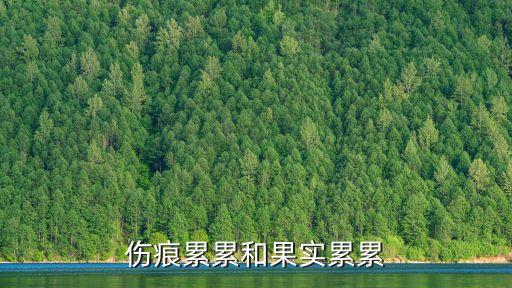 傷痕累累的意思，傷痕累累的詞語解釋