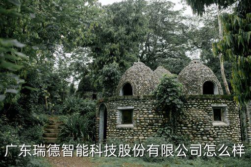 廣東瑞德智能科技股份有限公司怎么樣