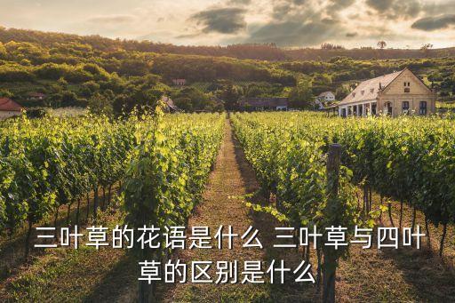  三葉草的花語是什么 三葉草與四葉草的區別是什么