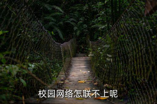 校園網絡怎聯不上呢