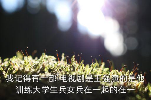 劉昌毅決戰宿縣，劉昌毅決戰宿縣電影在哪可以播放