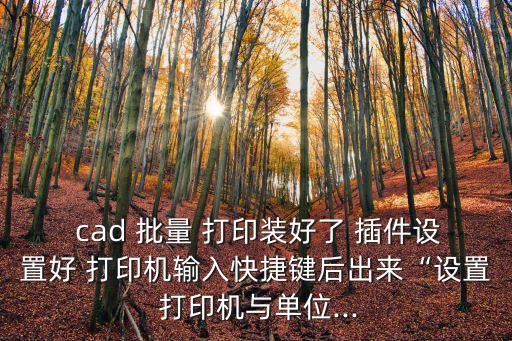 cad批量打印插件