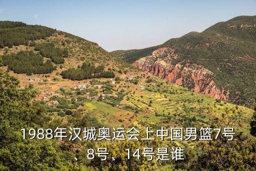 王立彬,中國(guó)男籃13年前曾參加奧運(yùn)會(huì)籃球賽
