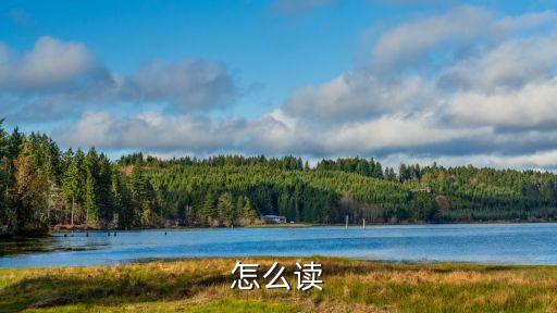 怎么讀