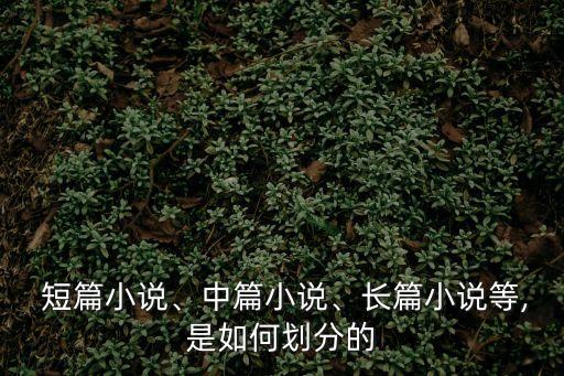 中短篇小說,小說按篇幅和容量分為中短篇小說