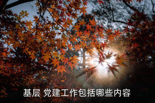 黨建工作要求,草根黨建工作主要包括建立健全黨的組織架構等