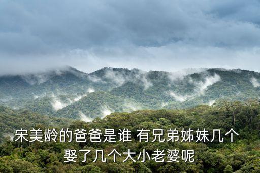 宋美齡的爸爸是誰 有兄弟姊妹幾個 娶了幾個大小老婆呢