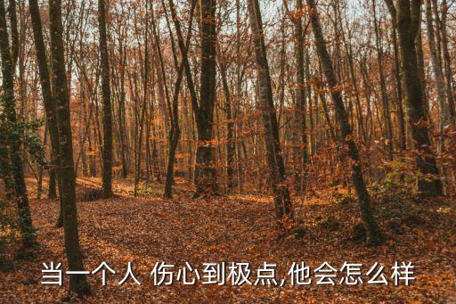 當一個人 傷心到極點,他會怎么樣