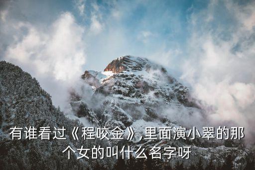 有誰看過《程咬金》,里面演小翠的那個女的叫什么名字呀