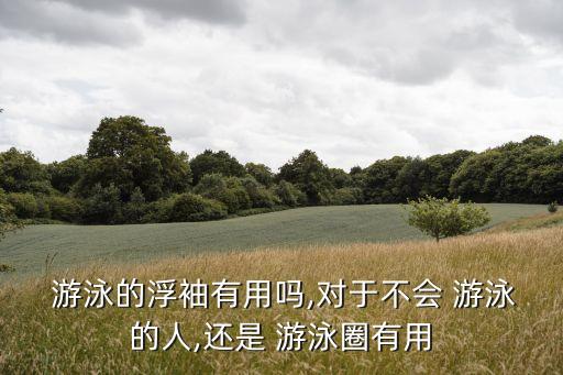 游泳用品,游泳愛好者必備物品泳鏡和充氣游泳圈