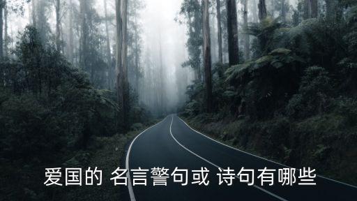  愛國的 名言警句或 詩句有哪些