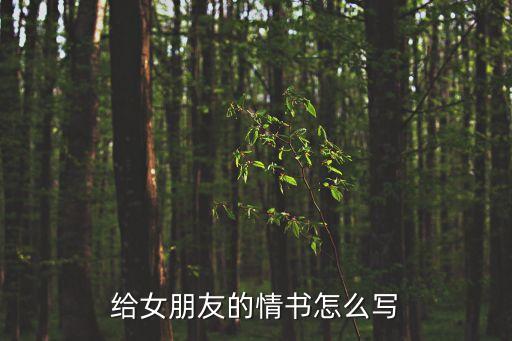 給女朋友的情書(shū)怎么寫(xiě)