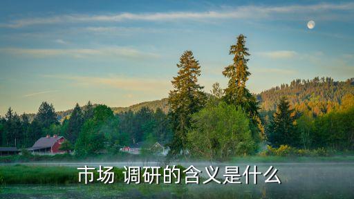  市場 調(diào)研的含義是什么