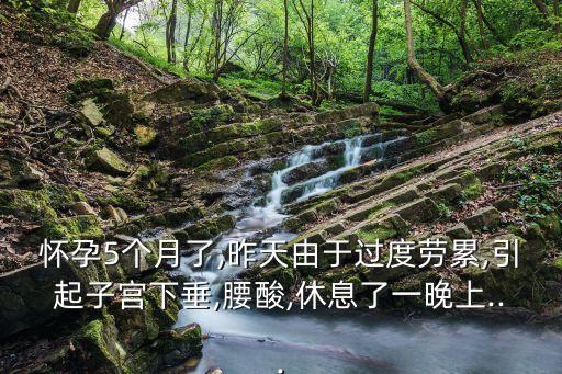 懷孕5個(gè)月了,昨天由于過(guò)度勞累,引起子宮下垂,腰酸,休息了一晚上...