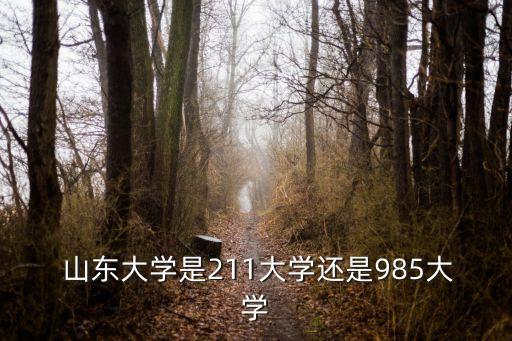  山東大學是211大學還是985大學