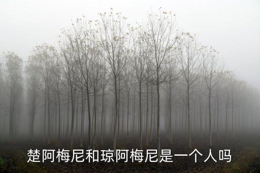 阿冷個人資料,如來佛和阿彌陀佛不是一個人!