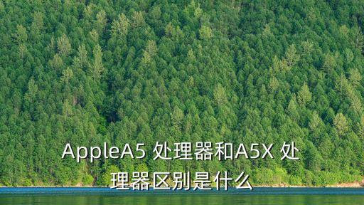 AppleA5 處理器和A5X 處理器區別是什么