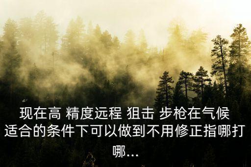 現在高 精度遠程 狙擊 步槍在氣候適合的條件下可以做到不用修正指哪打哪...