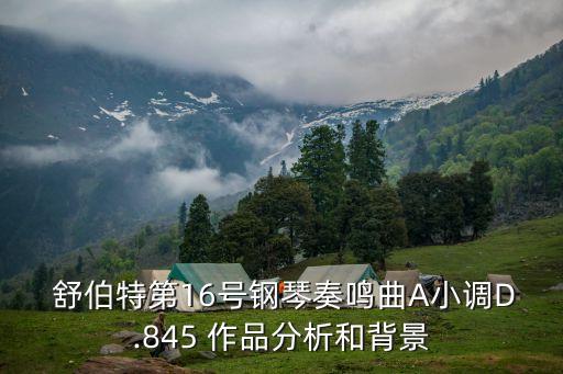 舒伯特的作品,第二十二屆肖邦大獎(jiǎng)得獎(jiǎng)名單出爐